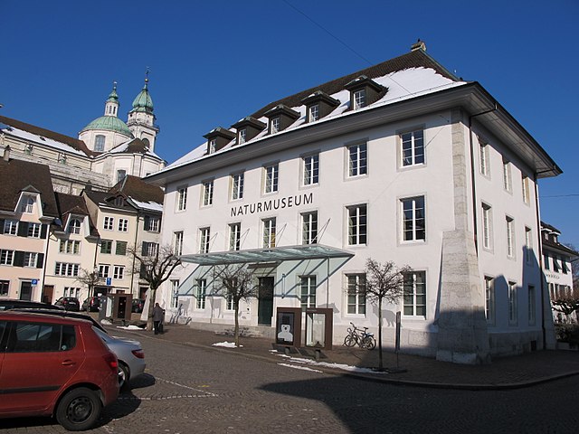 640px-Naturmuseum_Solothurn.JPG