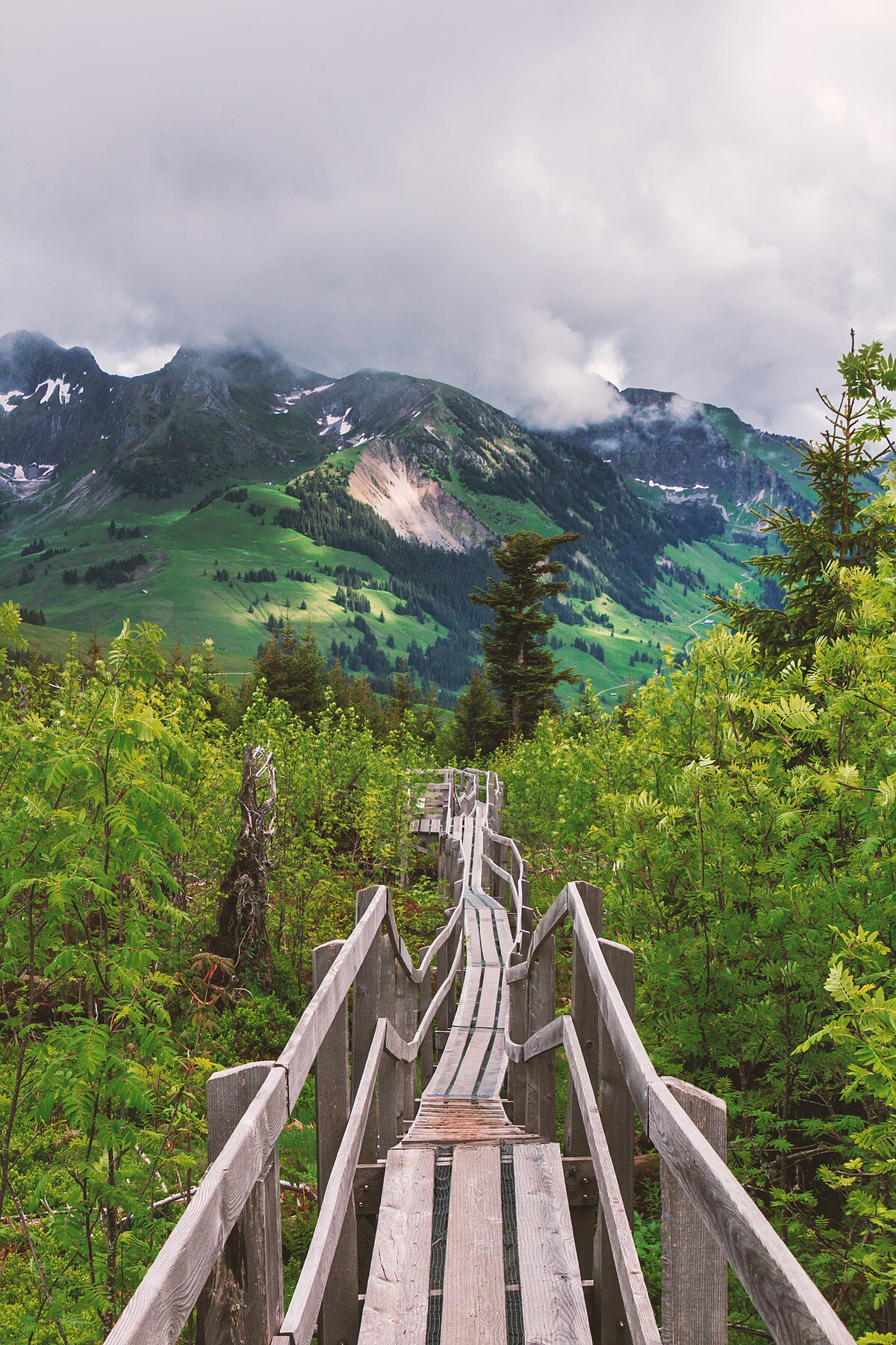 Naturpark Gantrisch, by Felix Brönnimann