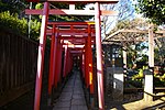 Thumbnail for File:Nezu-jinja 20061230 0015.jpg