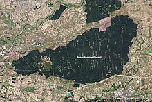 Since the 13th century, the Niepolomice Forest in Poland has had special use and protection. In this view from space, different coloration can indicate different functions. Niepolomice oli 2013251.jpg