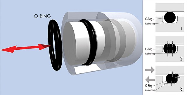 Datei:O-Ring CAD-Skizze.jpg – Wikipedia