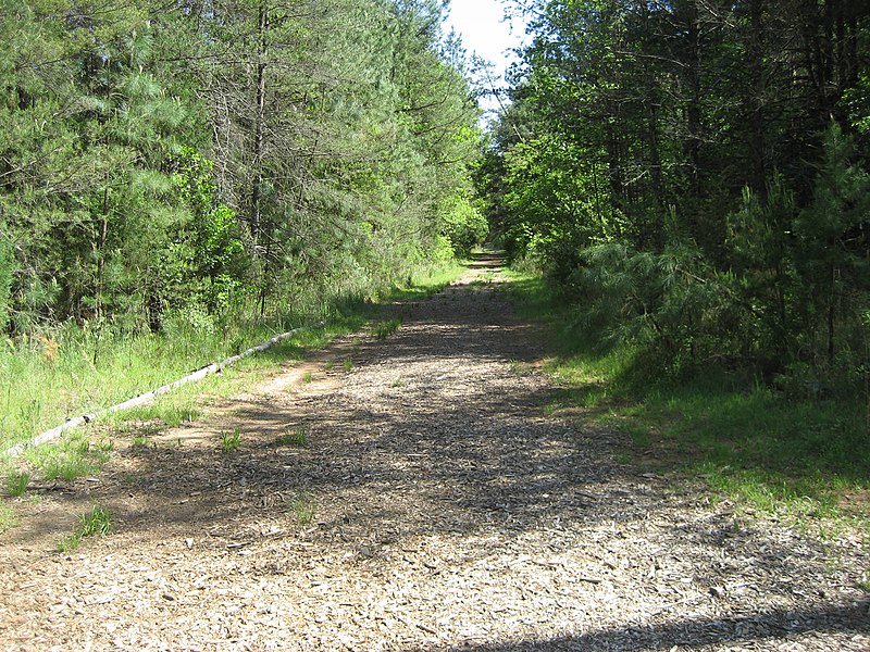 File:Occoneechee Speedway straightaway.jpg