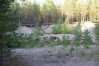 <span class="mw-page-title-main">Hausjärvi Gravel Pit Murders</span> Series of murders in Finland