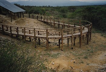 Prehistorische vindplaats Olorgesailie