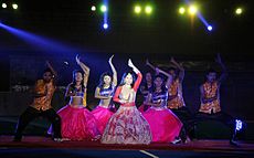 Anu Choudhury performing in Hero Hockey India League Opening Ceremony of Bhubaneswar Hockey Stadium at Bhubaneswar on 28-01-2014 (4).jpg