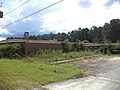 Overgrown industrial building