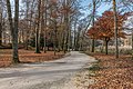 English: Park at the promenade Deutsch: Park an der Promenade