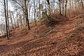 * Nomination Hibernal beech grove at the forest track Glorietteweg, Poertschach, Carinthia, Austria --Johann Jaritz 03:27, 27 March 2016 (UTC) * Promotion Good quality. --Hubertl 04:38, 27 March 2016 (UTC)