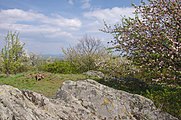 Čeština: Přírodní rezervace Malý Kosíř, okres Olomouc