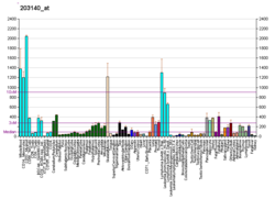 PBB GE BCL6 203140, fs.png'de