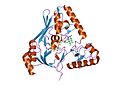 Thumbnail for File:PDB 1hsk EBI.jpg