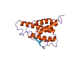 analyse van de structuur van een oplossing van humaan interleukine 4, bepaald door heteronucleaire driedimensionale methoden van nucleaire magnetische resonantie