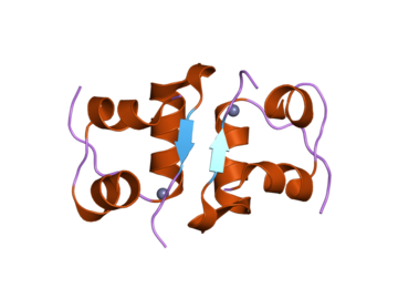 2a3g: The structure of T6 bovine insulin