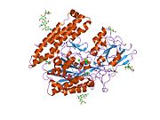 PDB 2cij EBI.jpg