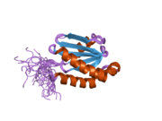 PDB 2dmw EBI.png