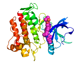 <span class="mw-page-title-main">RET inhibitor</span>