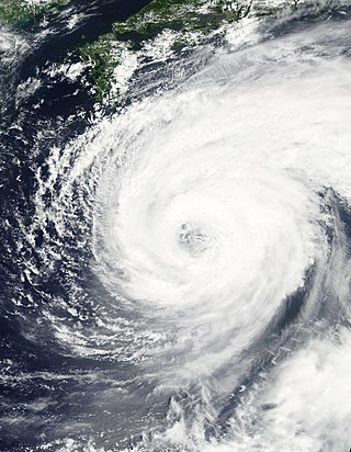 <span class="mw-page-title-main">Typhoon Pabuk (2001)</span> Pacific typhoon in 2001