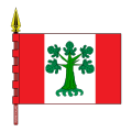 Bandeira de Paderne de Allariz, Ourense.[10]