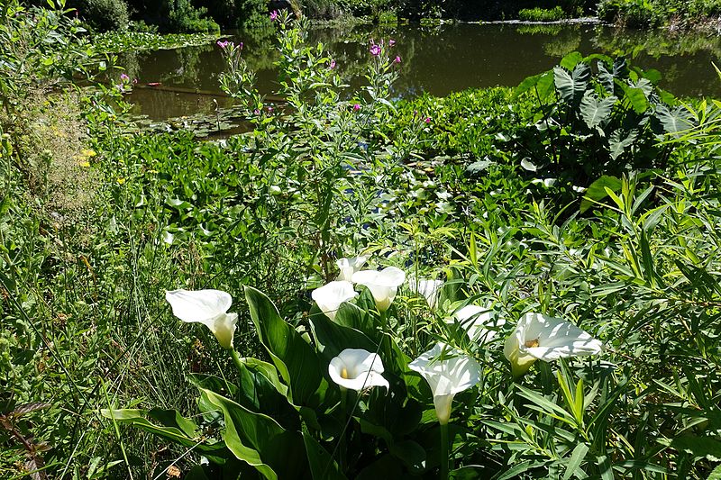 File:Parc de Bagatelle @ Paris (27766531203).jpg