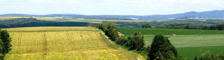 Paysage de la paroisse de Grand-Sault, dans le comté de Victoria