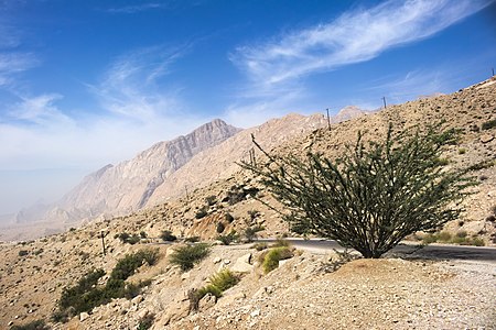 Peak of Kuh-e Genu