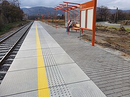 Station Bielawa Zachodnia