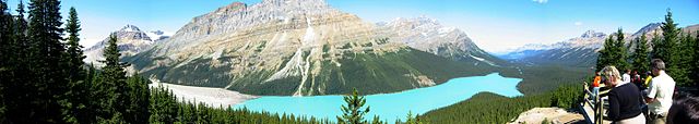 Lac Peyto