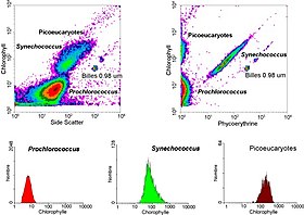 Cellular fluorescence intensity and cell size as a function of