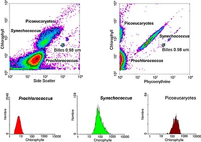 Durchflusszytometrie: Geschichte, Prinzip, Fluoreszenzmessungen