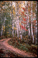 Pictured Rocks National Lakeshore PIRO6065.jpg