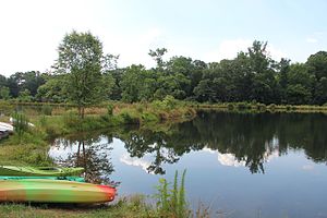 Pine Lake, Georgia