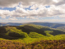 Planina Ostrozub 14.jpg