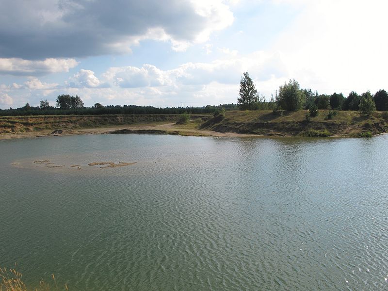 File:Podlaskie - Narew - Podborowisko 20110910 02 Bagier.JPG