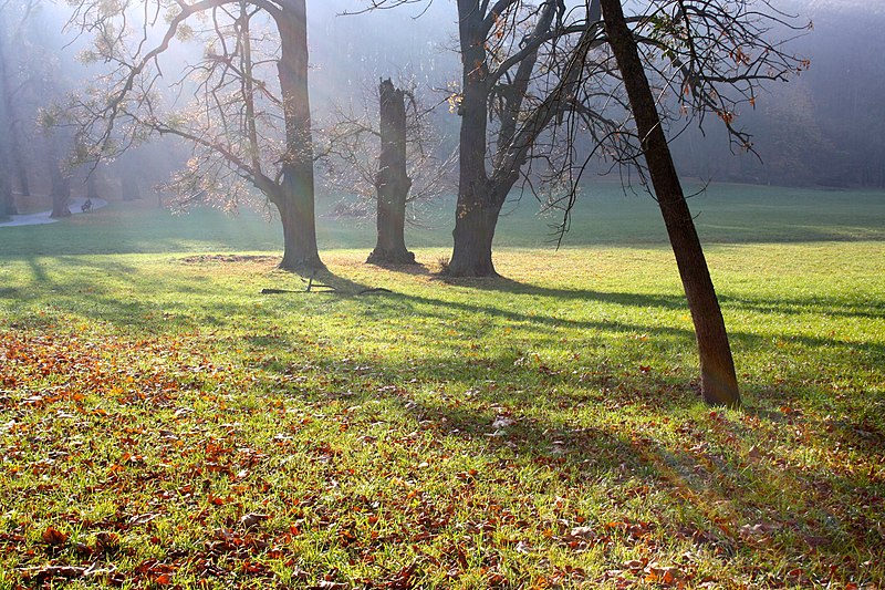 File:Poetzleinsdorf Park 02.jpg