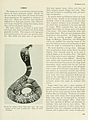 Poisonous snakes of the world (Page 123) BHL11739581.jpg