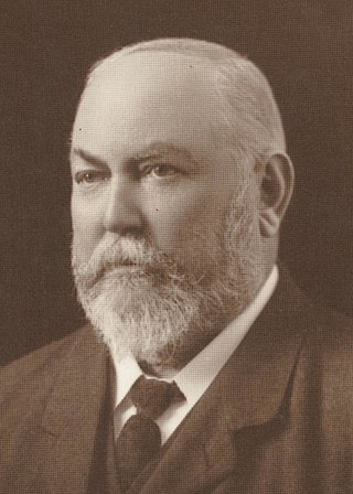 <span class="mw-page-title-main">John Forrest</span> Australian politician (1847–1918)