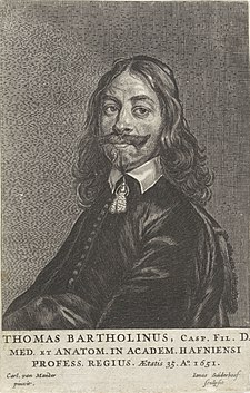 Portret van Thomas Bartholinus, RP-P-OB-60.701.jpg