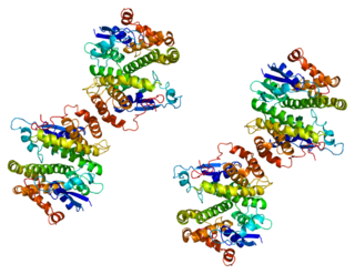 <span class="mw-page-title-main">GSTM4</span> Protein-coding gene in the species Homo sapiens