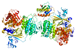 پروتئین SEC23A PDB 2nup.png
