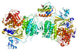 Белок SEC23A PDB 2nup.png