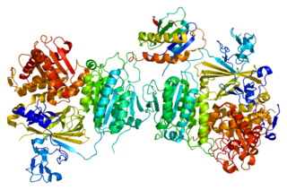 SEC23A protein-coding gene in the species Homo sapiens