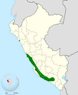 Distribución geográfica del canastero de los cactos.