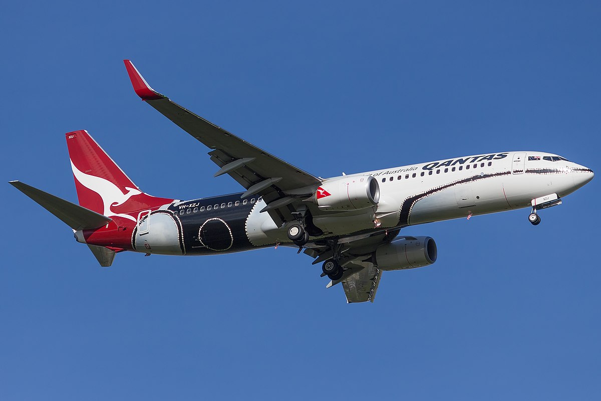 A Boeing 737-800 in 2015 wearing the Mendoowoorrji livery.