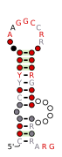 Flavi_TBFV_SL6 Secondary structure taken from the Rfam database. Family RF03537