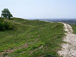 Ramparts, Cissbury Ring - geograph.org.uk - 1332728.jpg