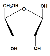 Chemische Struktur von Ribose.