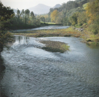 <span class="mw-page-title-main">Pas (river)</span> River in Cantabria, Spain