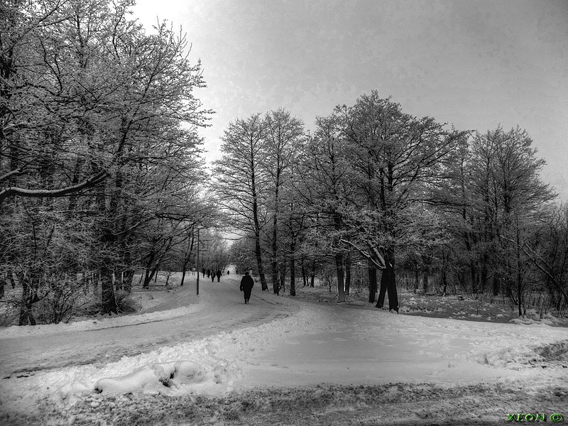 File:Road To Sea - Winter - panoramio.jpg