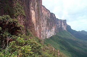 The steep rock face of the Roraima-Tepui