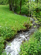 Le ruisseau de Colantigue.